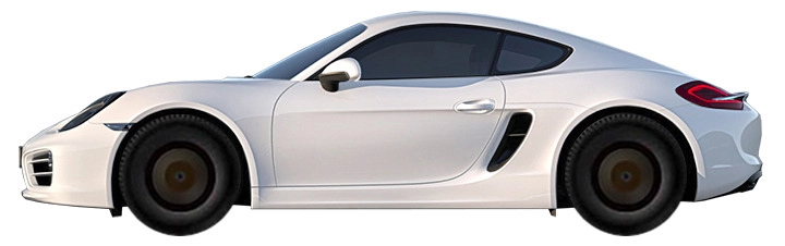 981 (2013-2016)