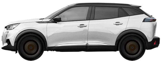 U SUV (2020-2024)