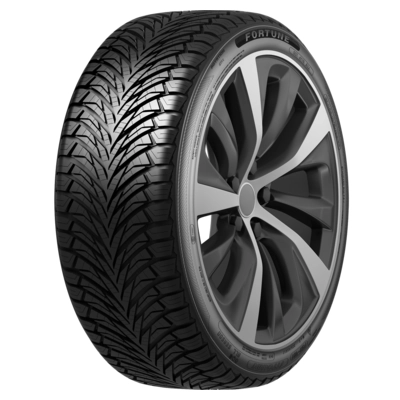 Шина Fortune Fitclime FSR-401 225/55 R19 99W